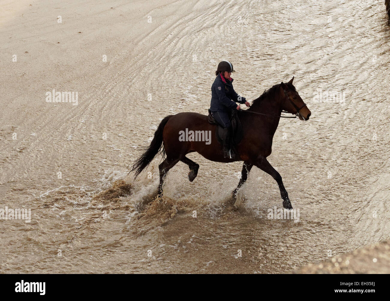 Il Boathouse Restaurant a Newquay Harbour possiede un cavallo che esercita sulla spiaggia. Foto Stock
