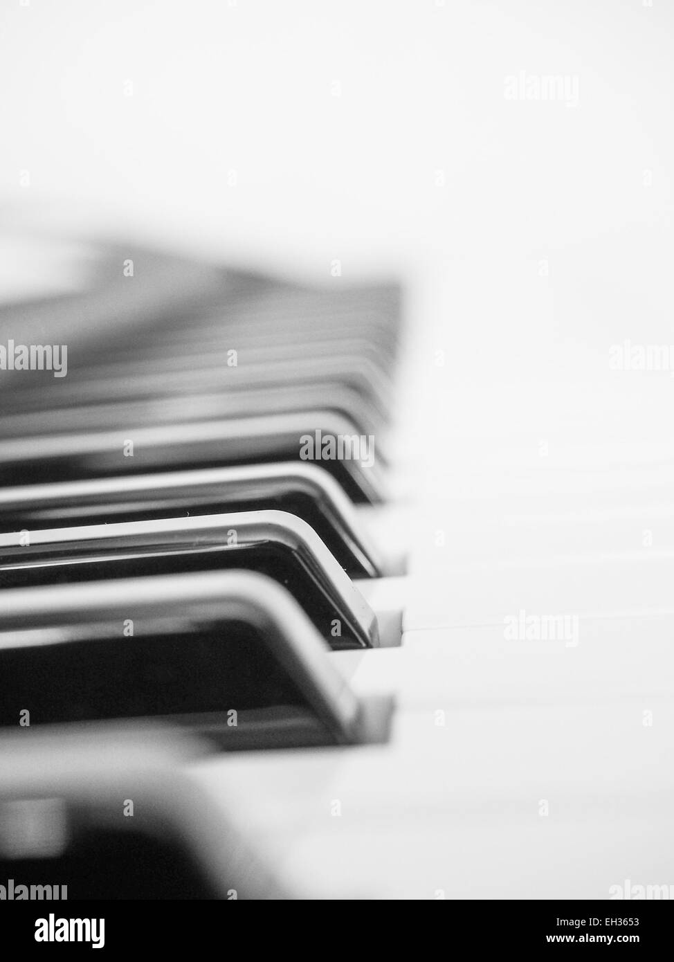 Dettaglio del bianco e del nero i tasti sulla tastiera musicale Foto Stock