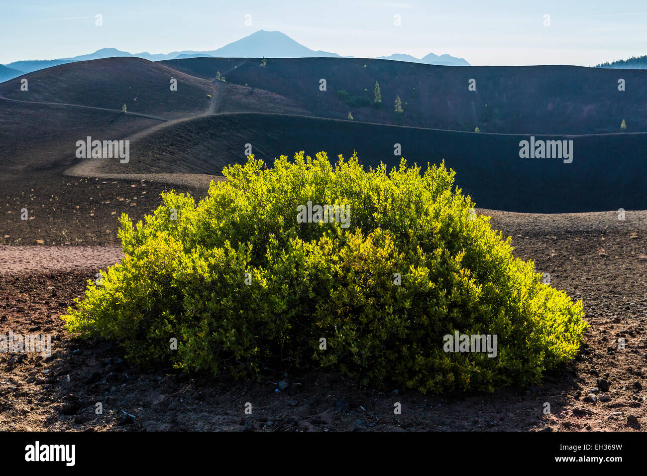 Parte superiore del vulcanico cono di scorie lungo il cono di scorie Trail nel Parco Nazionale vulcanico di Lassen, CALIFORNIA, STATI UNITI D'AMERICA Foto Stock