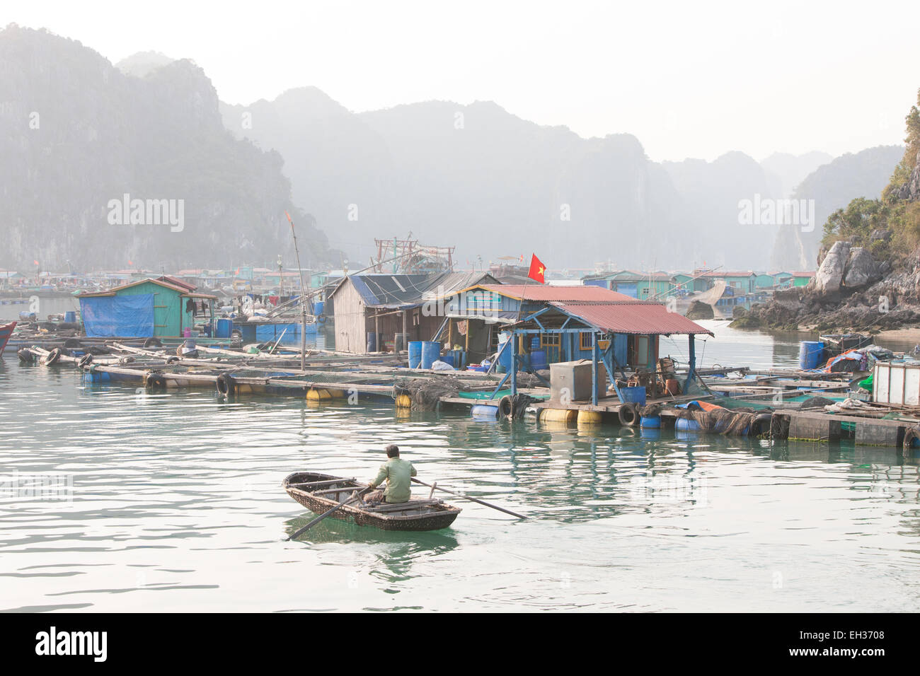 Fattoria di Pesce village, tra Carso montagne calcaree a Cat Ba National Park, Ha long,Halong Bay, Ha long,Halong Bay, Vietnam Foto Stock