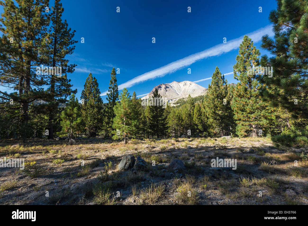 Picco di Lassen visto da un prato di montagna nel Parco Nazionale vulcanico di Lassen, CALIFORNIA, STATI UNITI D'AMERICA Foto Stock