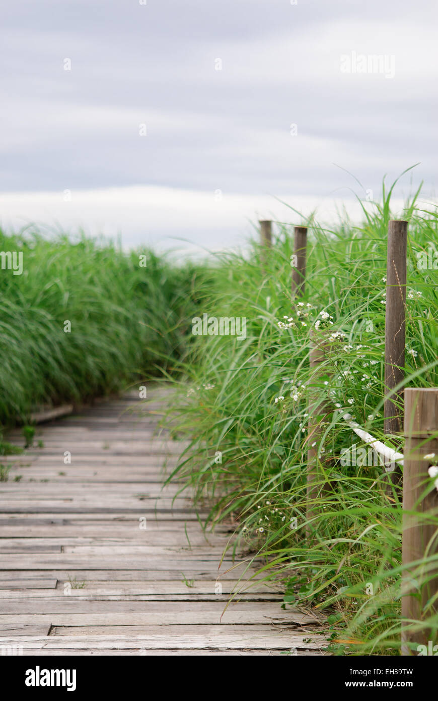 Nuvoloso vista del parco Haneul a Seoul, Corea del Sud Foto Stock