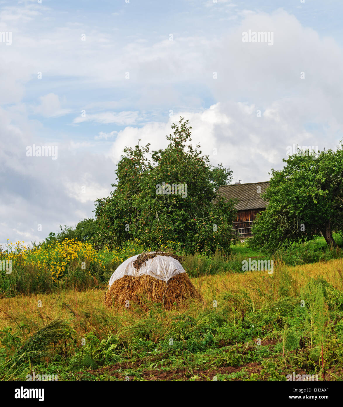 Pagliaio in un giardino. Foto Stock