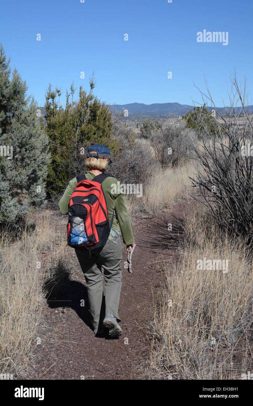 Escursione sulla collina di Boston trail, Silver City, New Mexico - USA Foto Stock