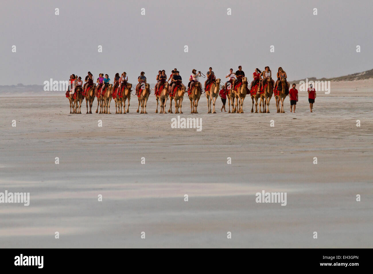 Avventura in cammello, Cable Beach, Broome, Australia Foto Stock