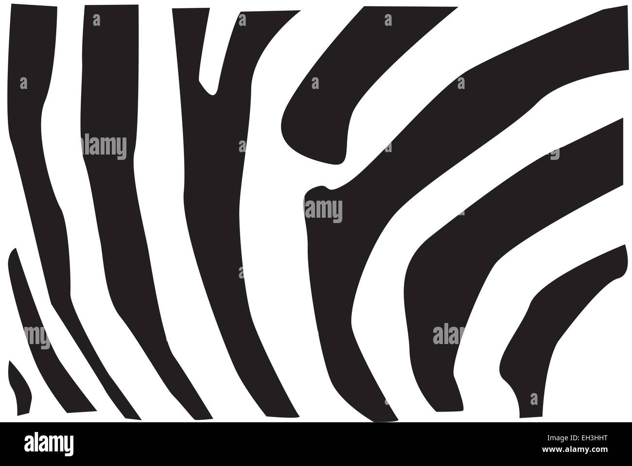 Zebra Pattern di pelliccia nei colori bianco e nero. Illustrazione Vettoriale