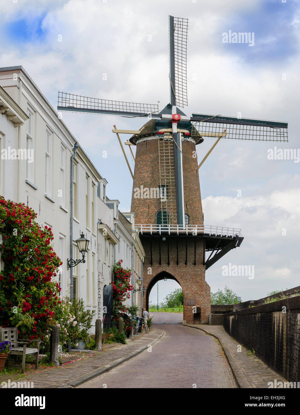 Mill Rijn en Lek nella città di Wijk bij Duurstede con un ammattonato street e rose rosse. Foto Stock