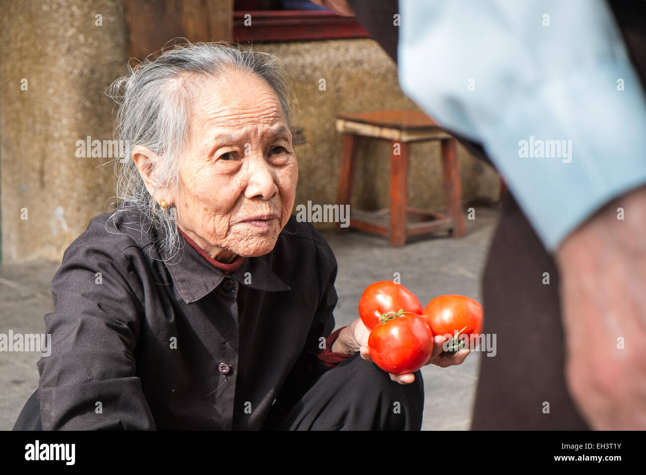 Anziani commessa di pomodoro con pomodori per la vendita, vendita nel quartiere vecchio di Hanoi,Hanoi, Vietnam.Vietnam,vecchio,coppia,anziani,il vietnamita,donna, Foto Stock