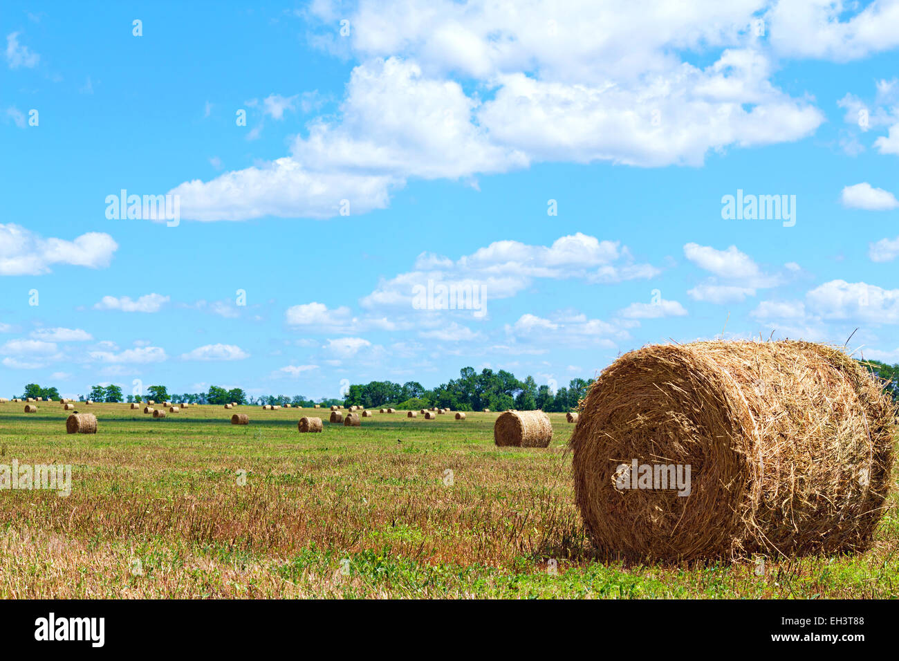 Raccolta di immagini di balle di paglia dal campo Foto Stock