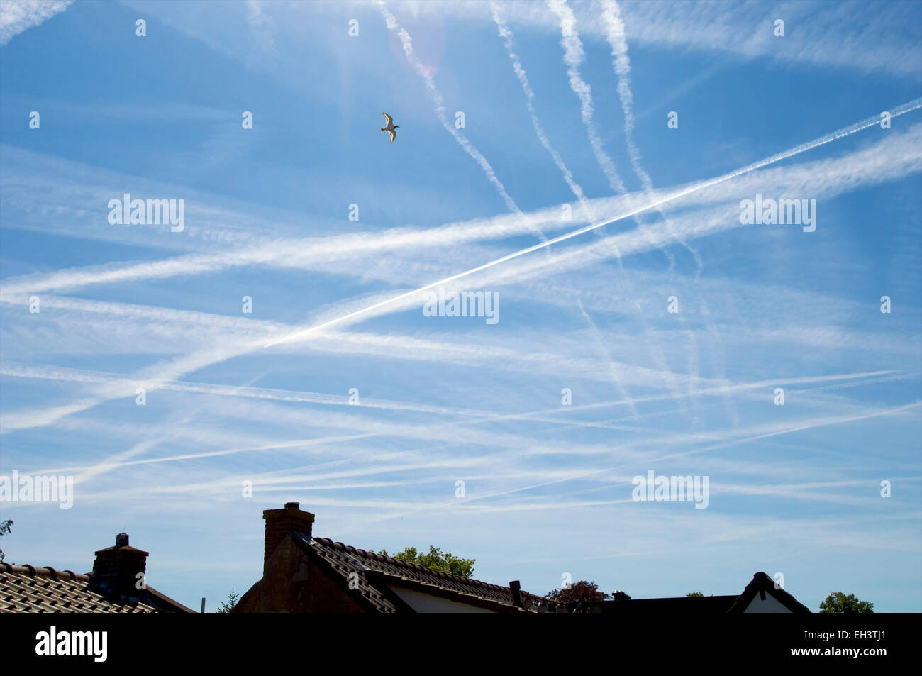 Chemtrails e contrails in un cielo blu sopra le case Foto Stock