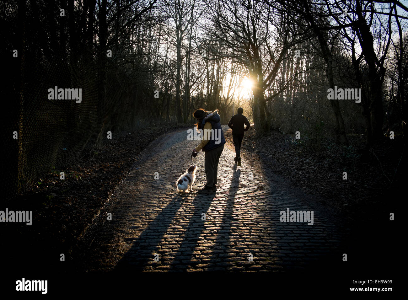 Una donna e il suo cane a camminare sulla pavimentazione in Chorlton , Manchester Foto Stock