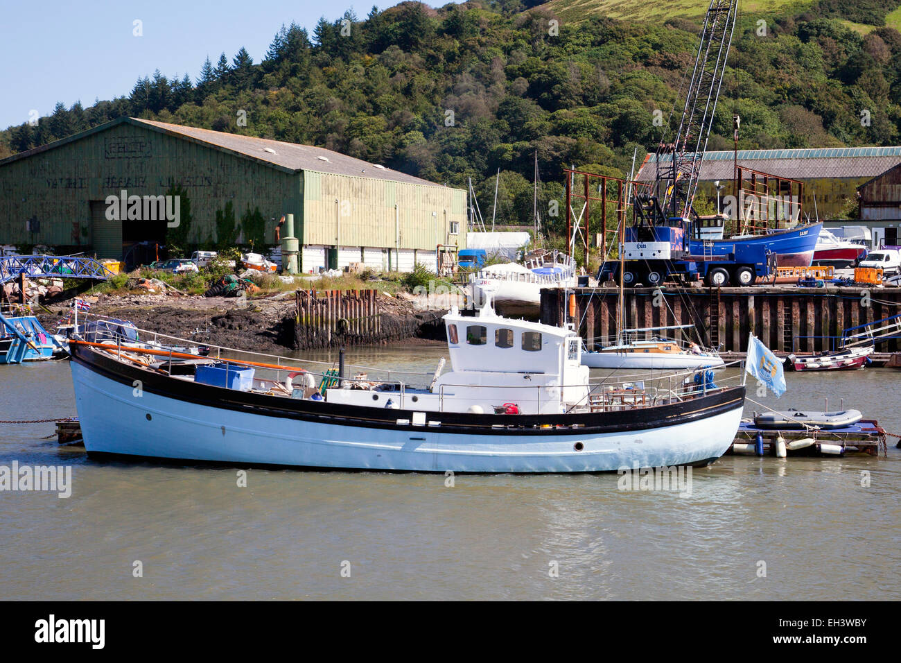 Un convertito barca da pesca nel colore i colori del Manchester City Football Club ormeggiato sul fiume Dart, Devon, Inghilterra, Regno Unito Foto Stock