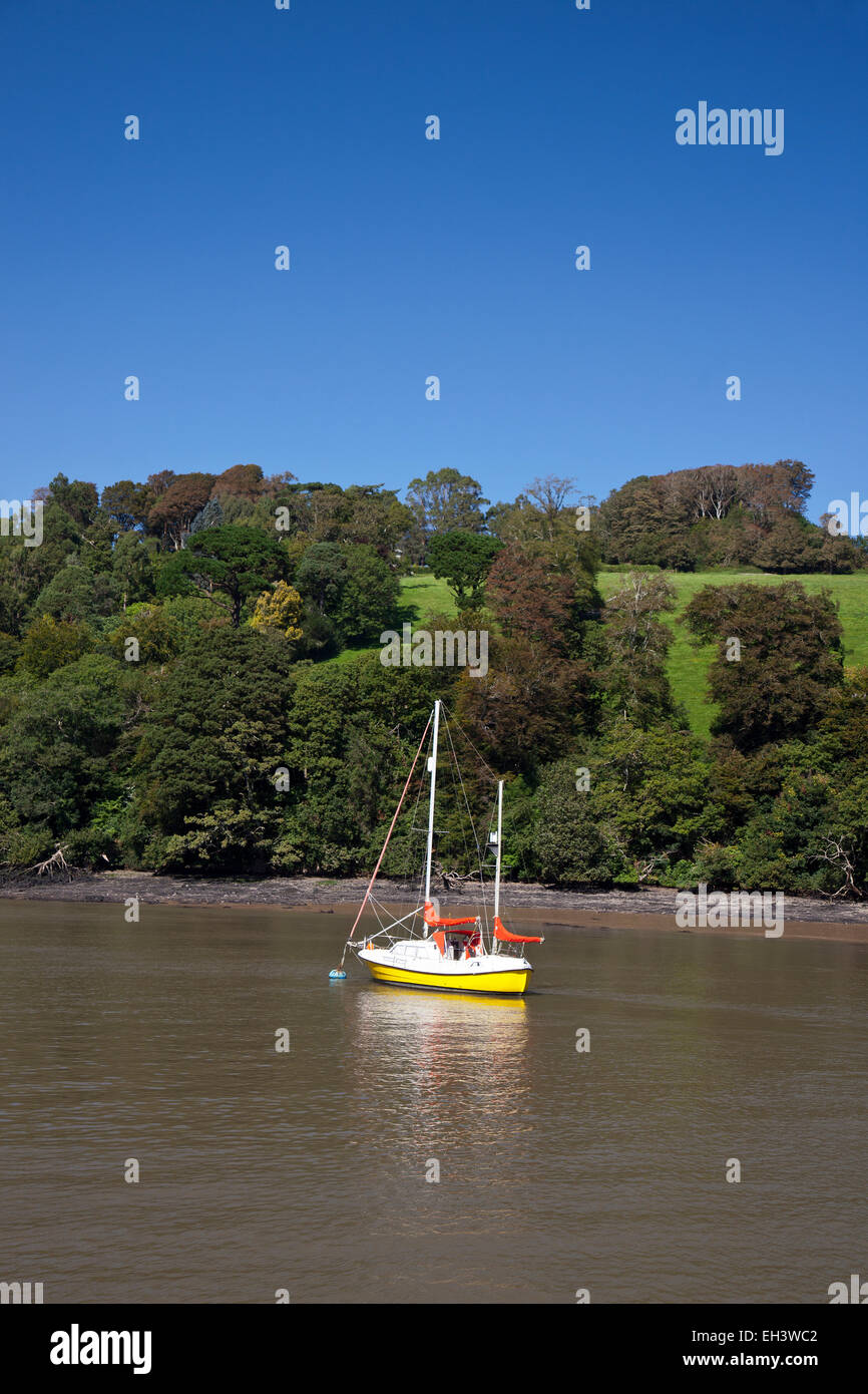 Un colorato yacht sul fiume Dart al di sopra di Dartmouth, Devon, Inghilterra, Regno Unito Foto Stock