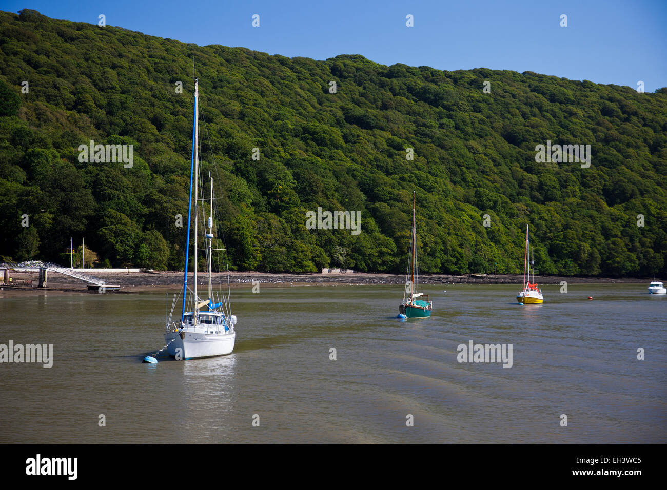 Colorate barche sul fiume Dart al di sopra di Dartmouth, Devon, Inghilterra, Regno Unito Foto Stock
