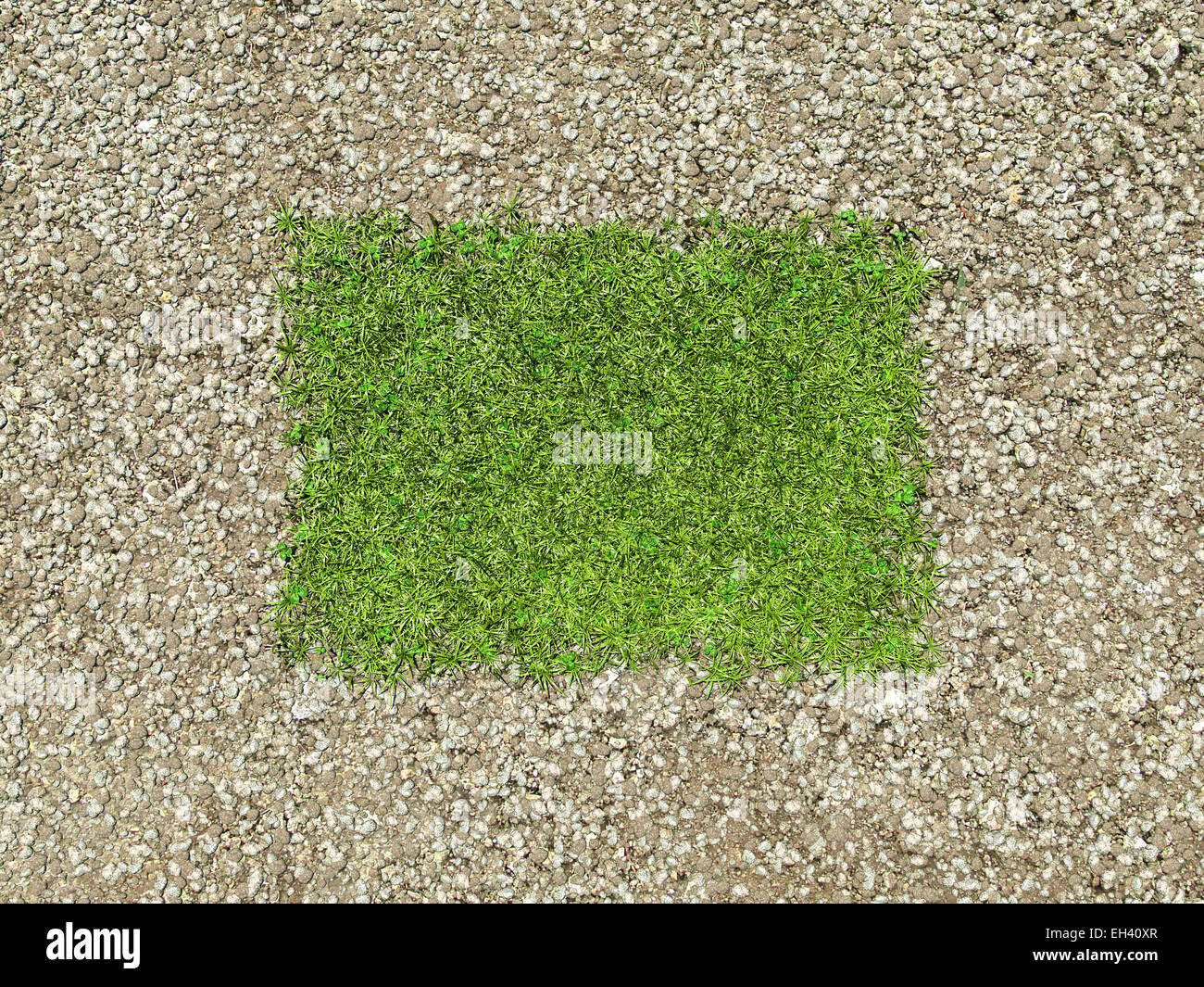 Ambiente: telaio di ghiaia ed erba verde patch in medio Foto Stock