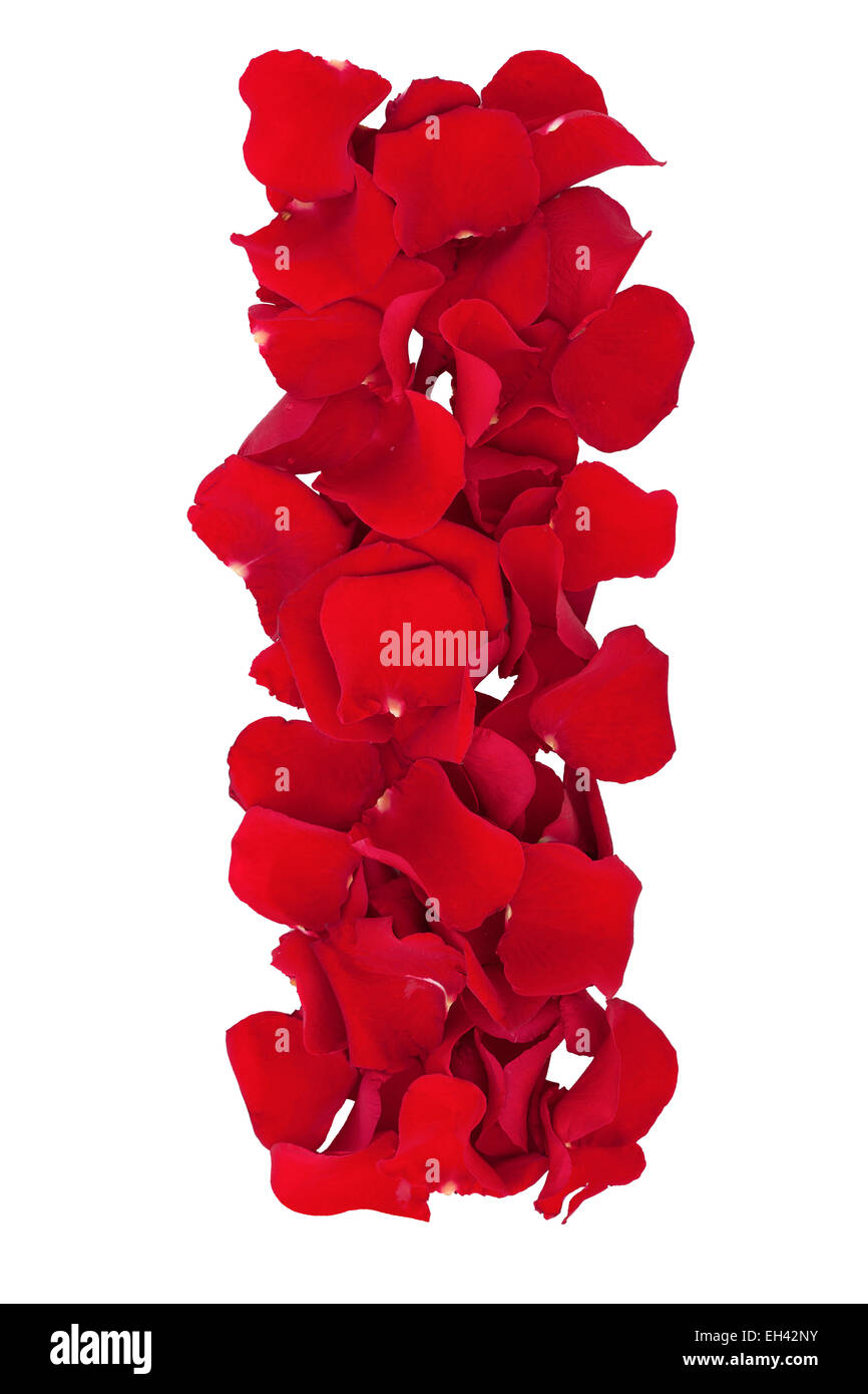 Lettera dei petali di rosa di fiori. Foto Stock