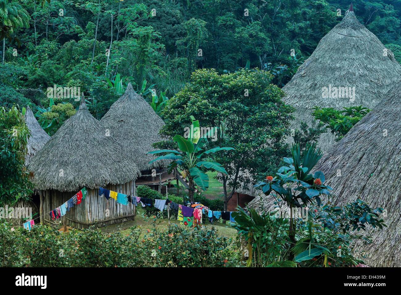 Panama, provincia di Darien, Parco Nazionale del Darién, classificato come patrimonio mondiale dall UNESCO, Embera comunità indigena, villaggio tradizionale Embera in un ambiente tropicale di lussureggiante vegetazione Foto Stock