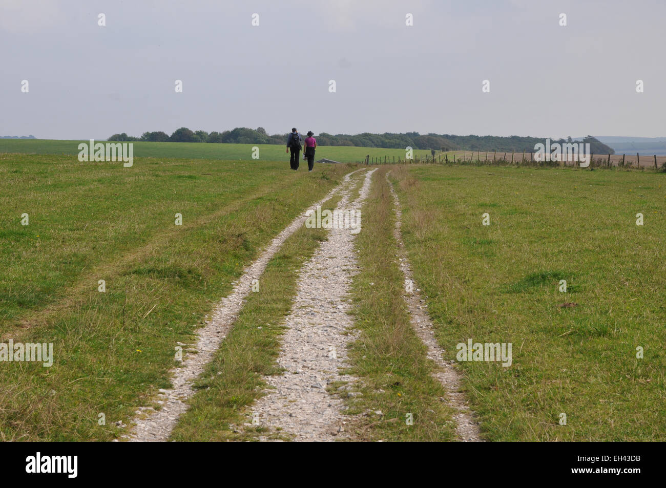 Due persone che camminano South Downs Foto Stock