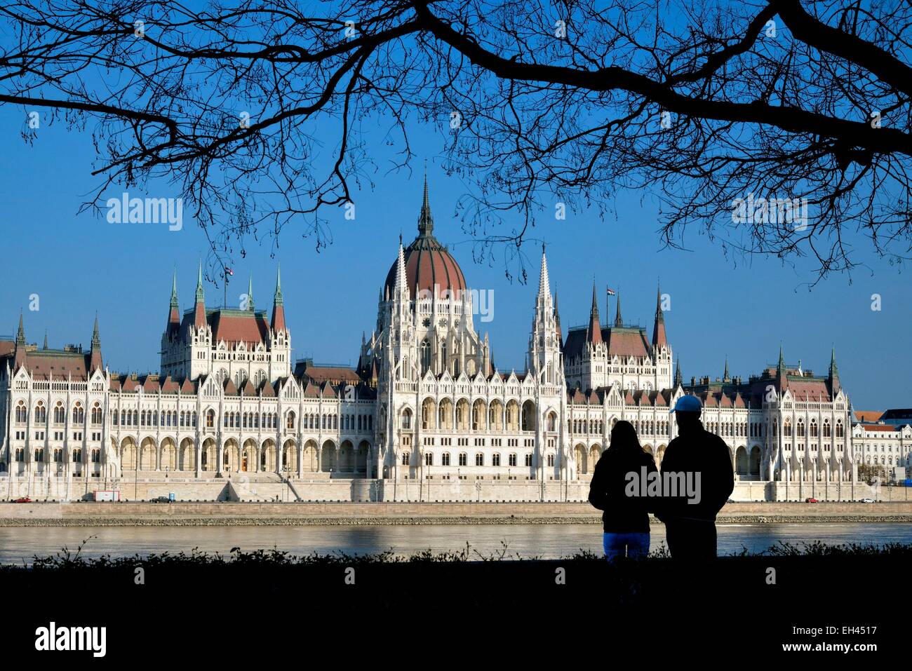 Ungheria, Budapest, rive del fiume Danubio, classificato come patrimonio mondiale dall' UNESCO, silhouette di un paio di persone e di un albero di fronte al parlamento ungherese edificio, un grande neo monumento gotico costruito nei primi anni del ventesimo secolo, sede della nazionale di inter Foto Stock