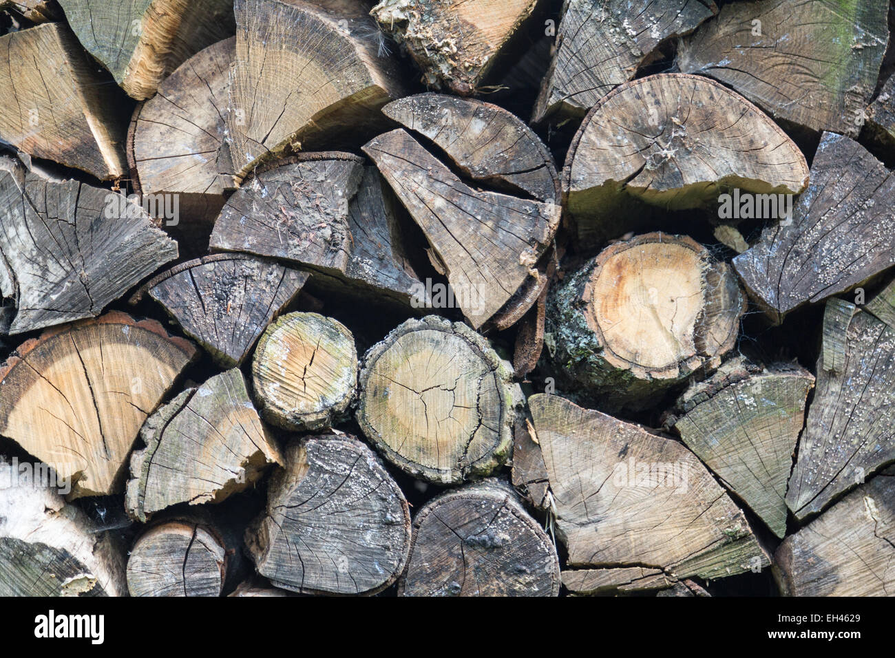 Un trito di legno in giardino impilati per essere utilizzato per il posto del fuoco Foto Stock