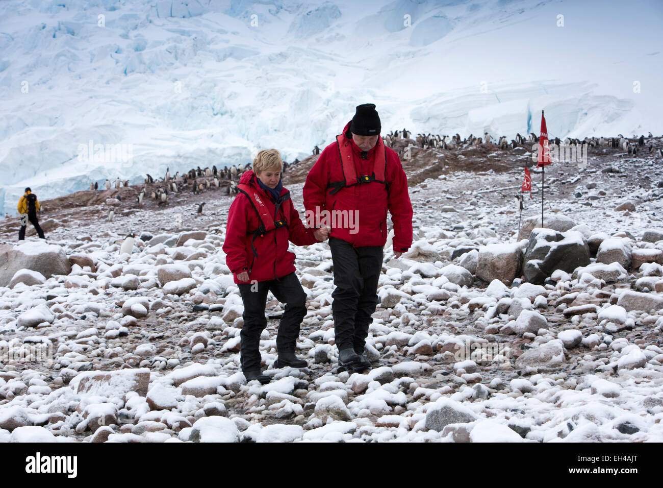 L'Antartide, Neko Harbour, nave da crociera i passeggeri a piedi attorno a gentoo colonia di pinguini nella neve Foto Stock
