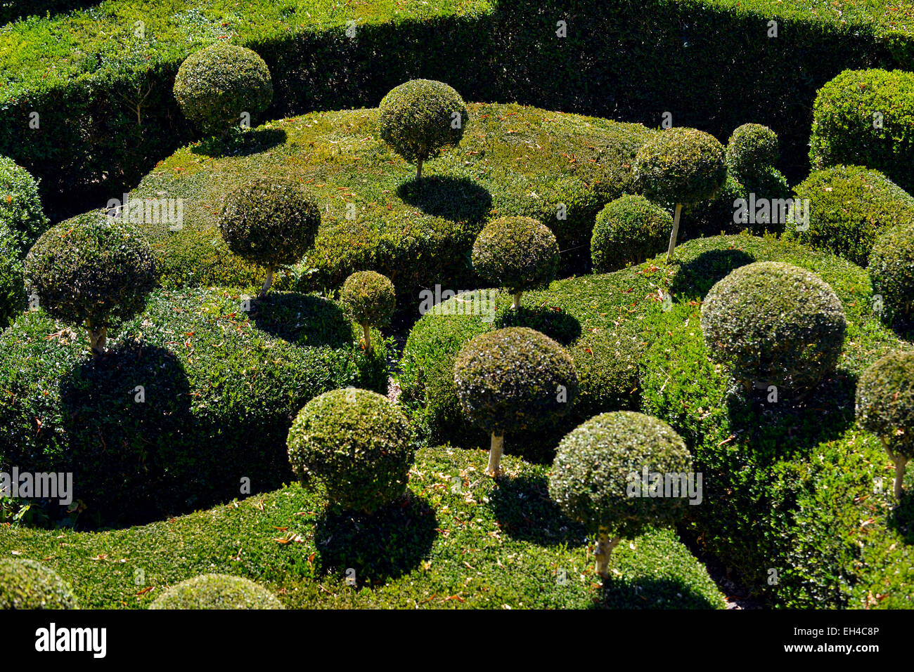 Sovrastante i giardini di Marqueyssac , Vezac, Dordogne, Perigord, Aquitaine, Francia Europa Foto Stock