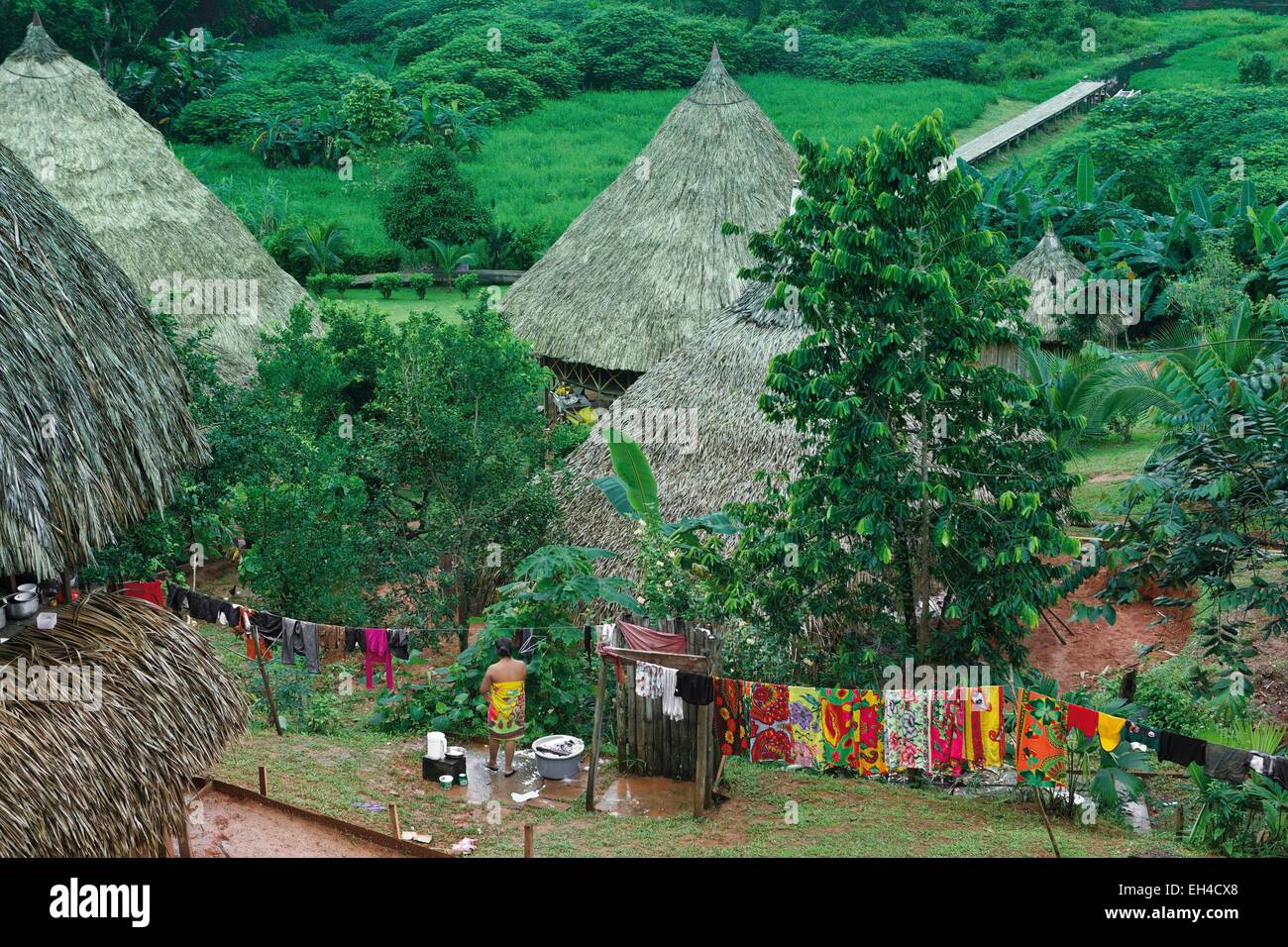 Panama, provincia di Darien, Parco Nazionale del Darién, classificato come patrimonio mondiale dall UNESCO, Embera comunità indigena, giovane donna nel mezzo di un tradizionale villaggio Embera in una vegetazione tropicale e lussureggiante ambiente Foto Stock