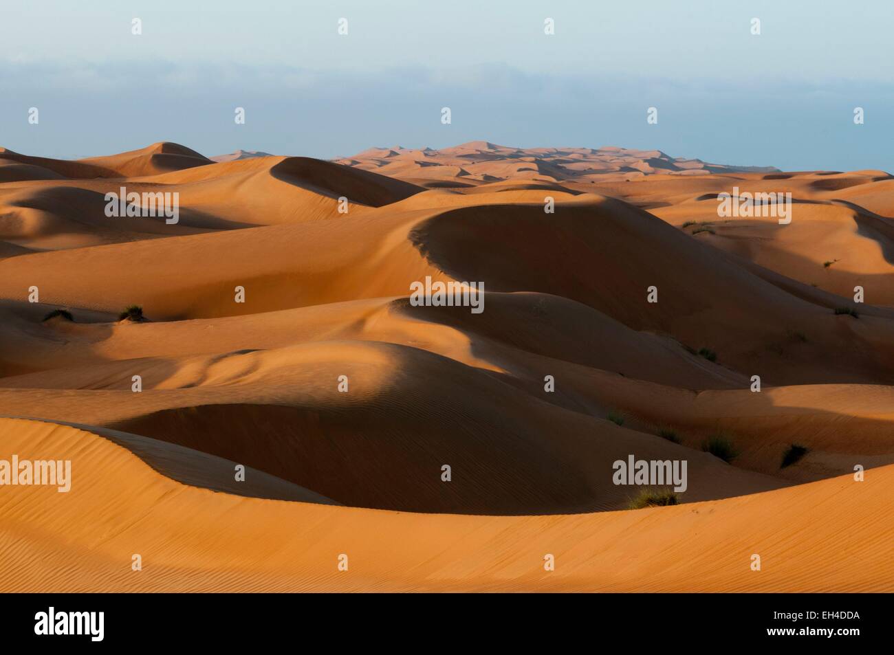 In Oman Wahiba Sands desert Foto Stock In Oman Wahiba Sands desert Foto Stock
