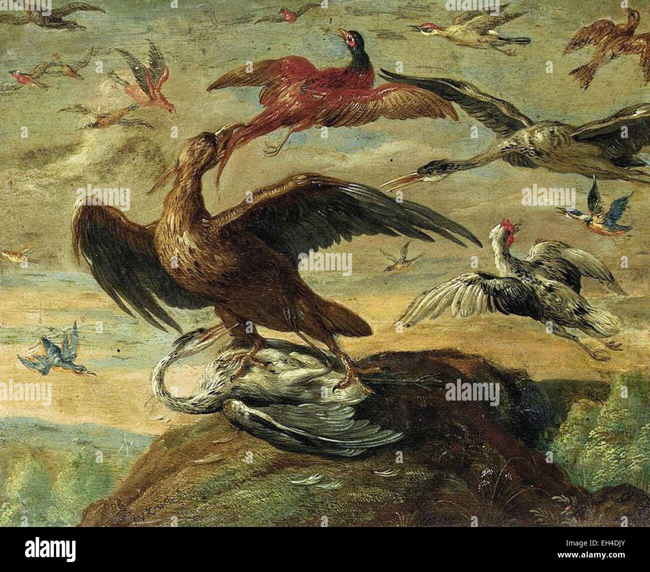 Jan van Kessel uccelli Foto Stock