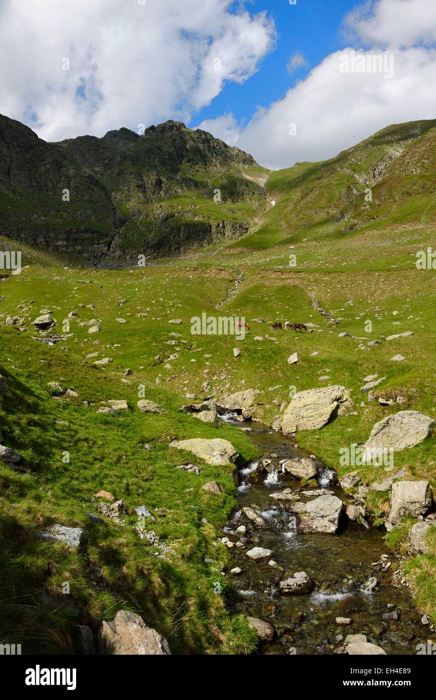 La Romania, Valacchia, Muntenia, Arges County, Monti Fagaras lungo la strada Transfagarasan nei Carpazi Meridionali Foto Stock