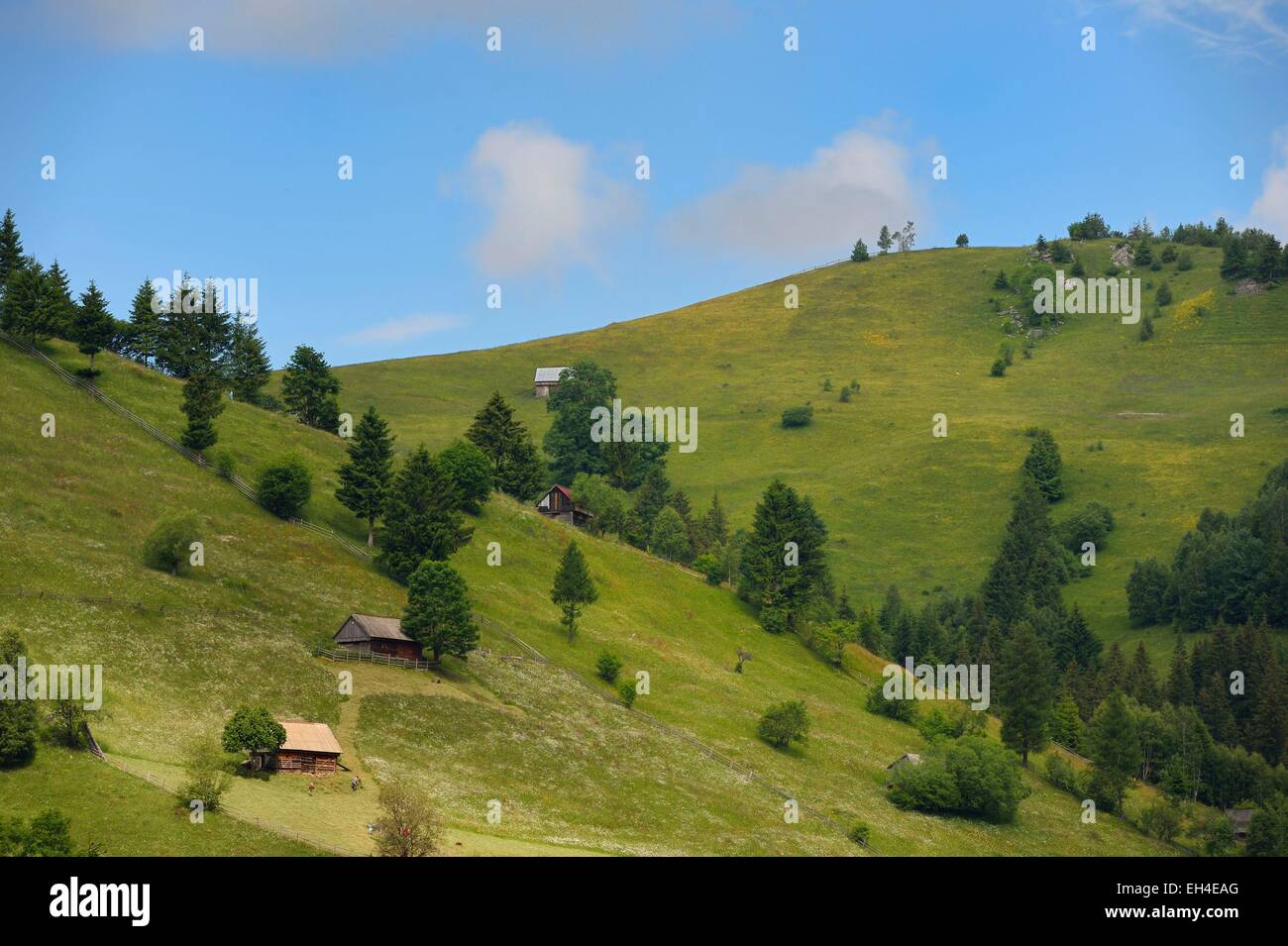 La Romania, Transilvania, Brasov regione, Monti Fagaras a Moieciu de sus nei Carpazi Meridionali Foto Stock