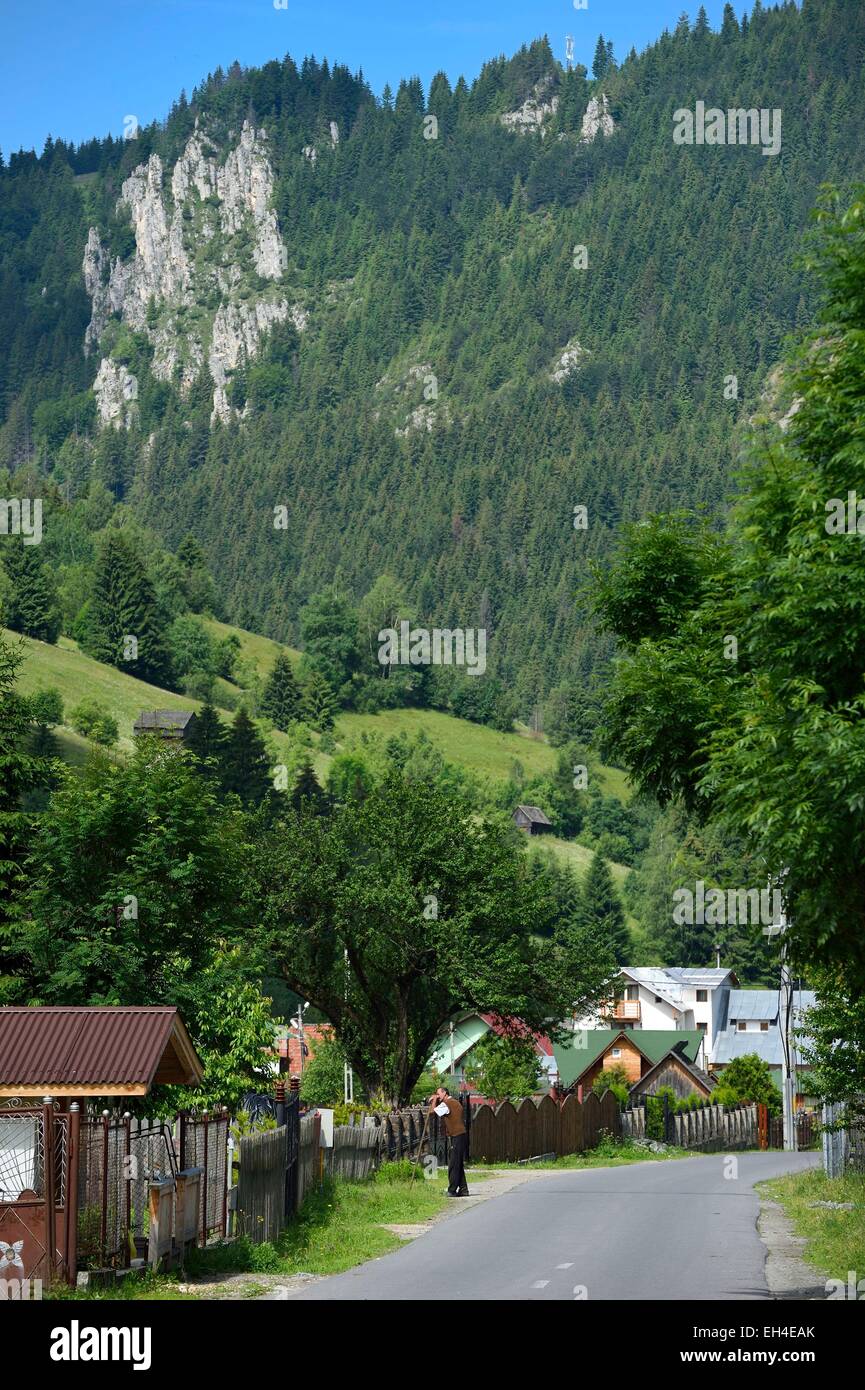 La Romania, Transilvania, Brasov regione, Monti Fagaras a Moieciu de sus nei Carpazi Meridionali Foto Stock