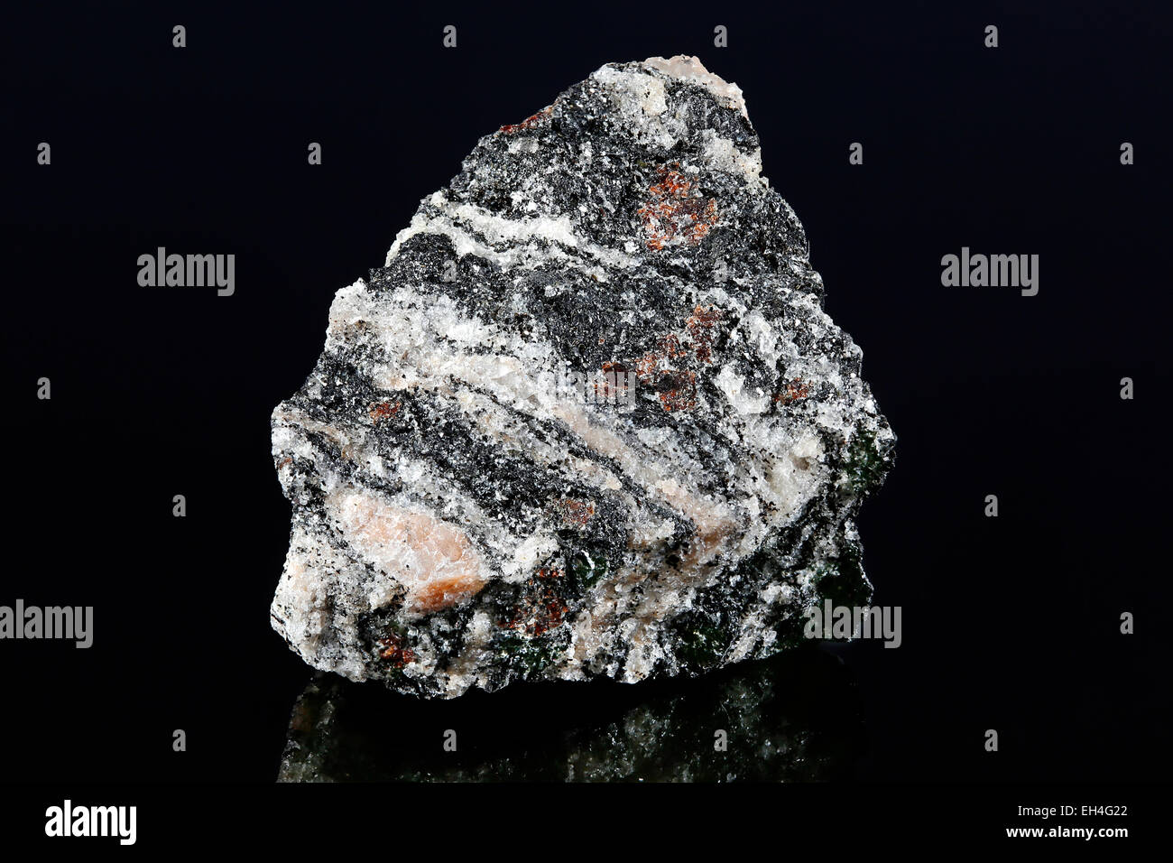 Gneiss campione di roccia Foto Stock