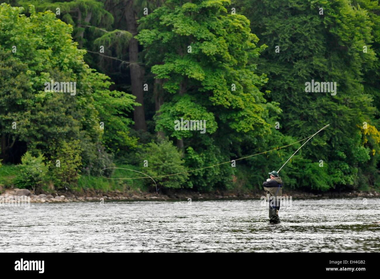 Regno Unito, Scozia, Inverness, fiume Ness, pesca a mosca Foto Stock