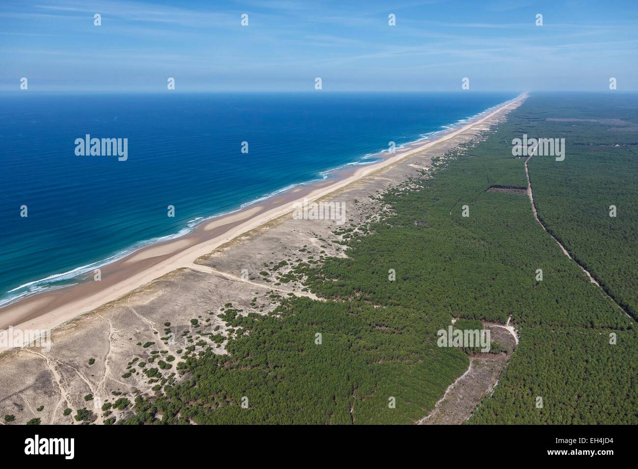 Francia, Gironde, le porge, la spiaggia e le dune e la foresta di pini (vista aerea) Foto Stock