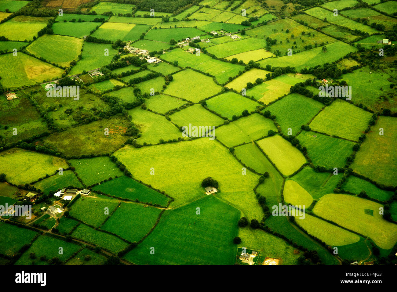Pascoli verdi come si vede dall'aria. L'Irlanda Foto Stock