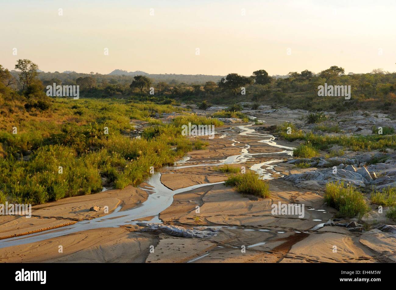 Sud Africa - Mpumalanga Kruger National Park Foto Stock