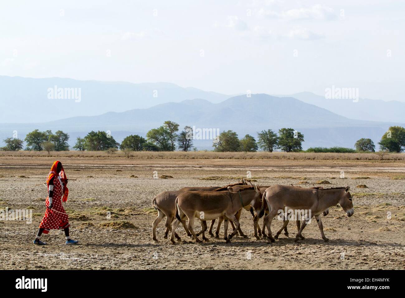 Kenya, Lake Magadi, donna masai lasciando un waterpoint con i suoi asini Foto Stock