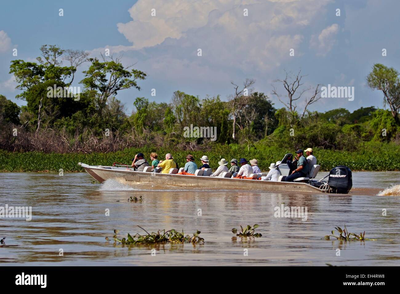 Il Brasile, Mato Grosso, Pantanal regione, Fiume Cuiaba, Black channel, barca con i turisti in cerca di Jaguar Foto Stock