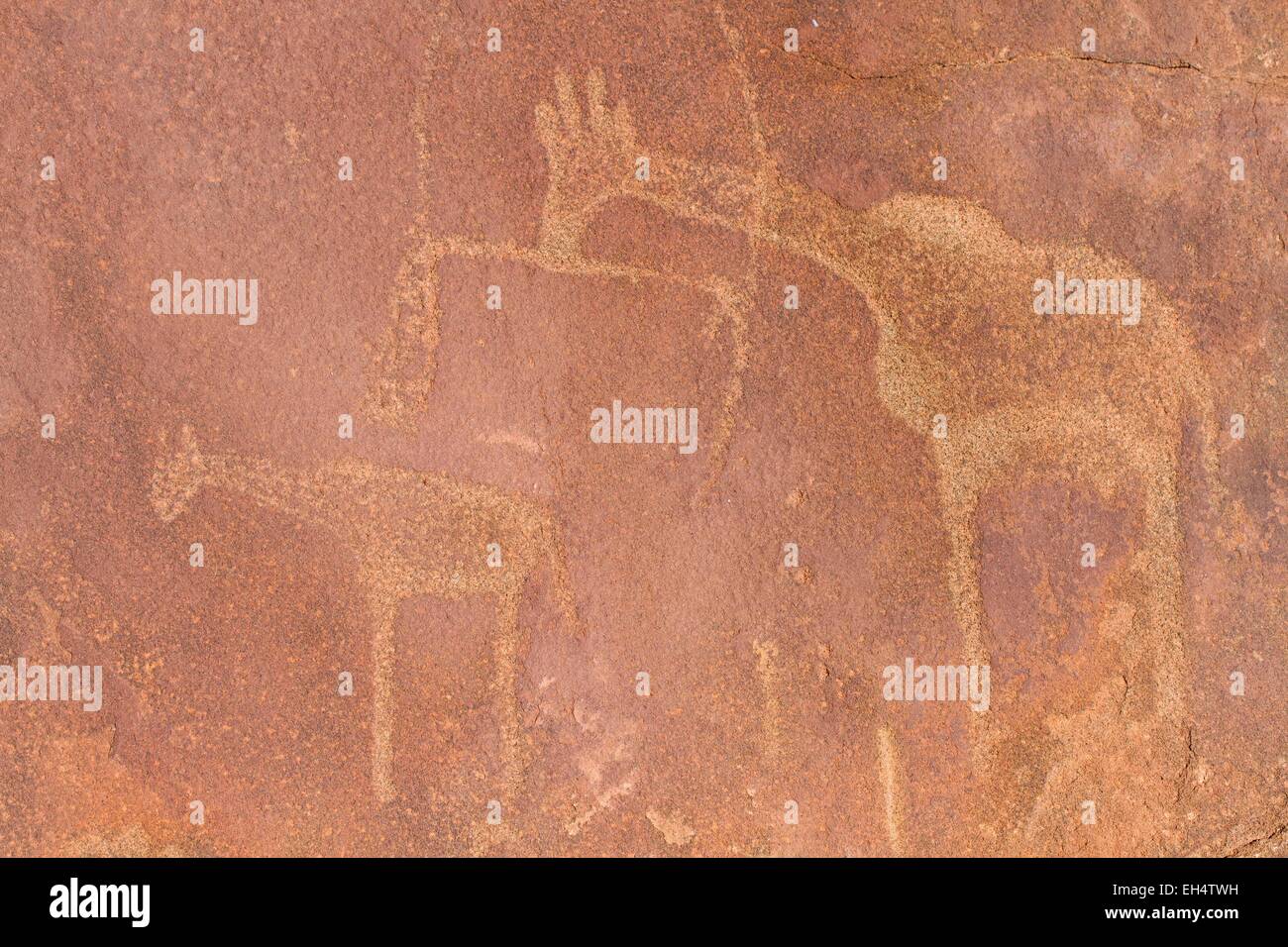 La Namibia, Kunene, regione di Damaraland, incisioni rupestri di Twyfelfontein, classificato come patrimonio mondiale dall' UNESCO Foto Stock