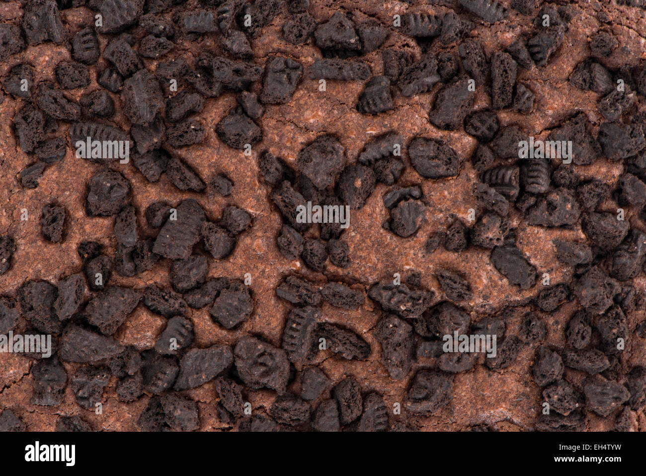 Brownie torta al cioccolato con uno sfondo con chip cookie topping. Foto Stock