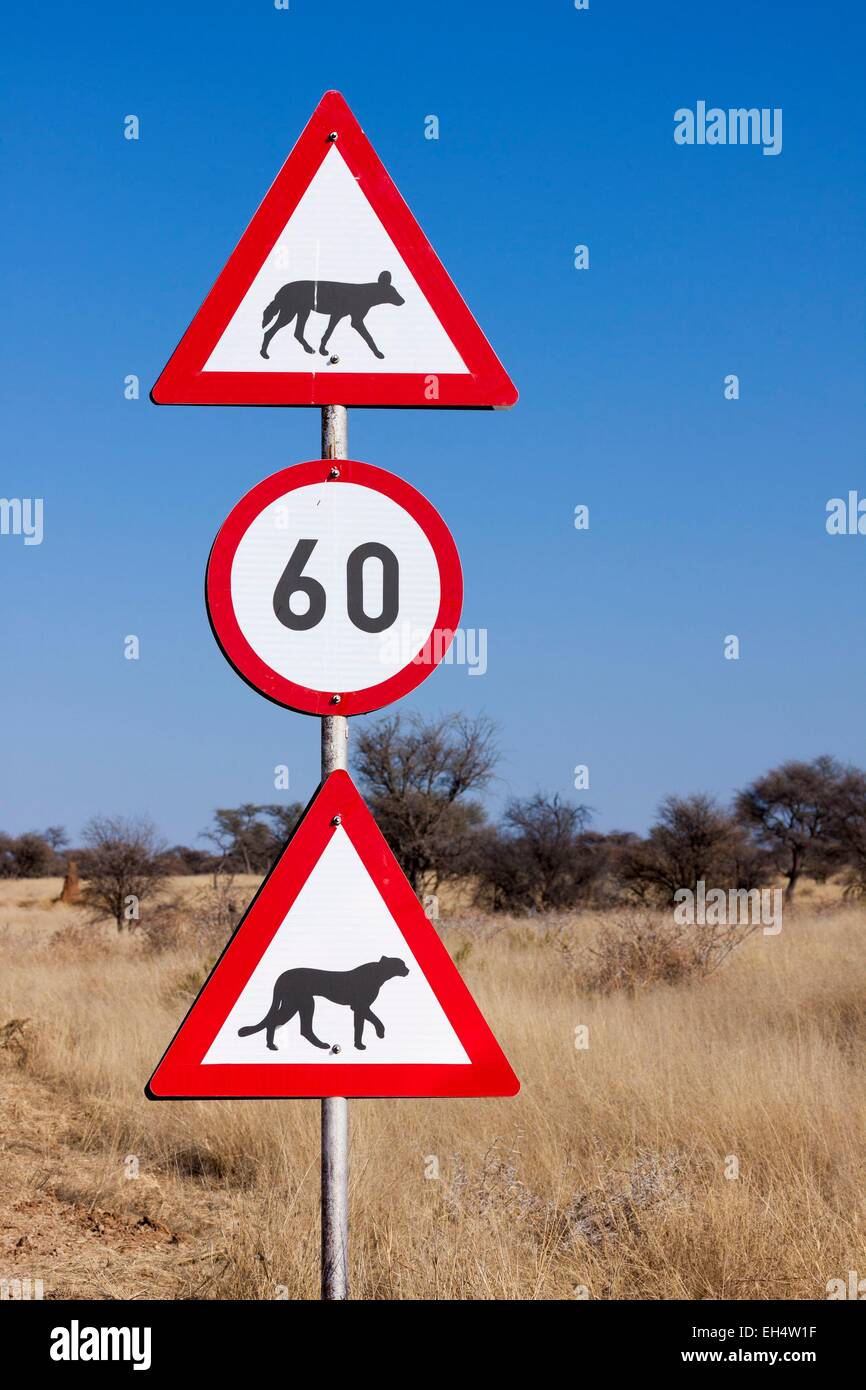 La Namibia, Otjozondjupa regione, l'Okonjima riserva, cartello stradale che indica la presenza di sciacalli e ghepardi Foto Stock