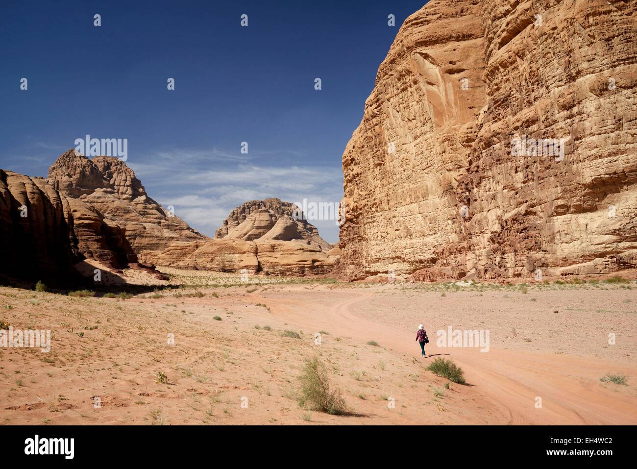 Giordania, Wadi Rum desert, area protetta elencati come patrimonio mondiale dall' UNESCO, il deserto di sabbia e rocce, Barrah Canyon Foto Stock