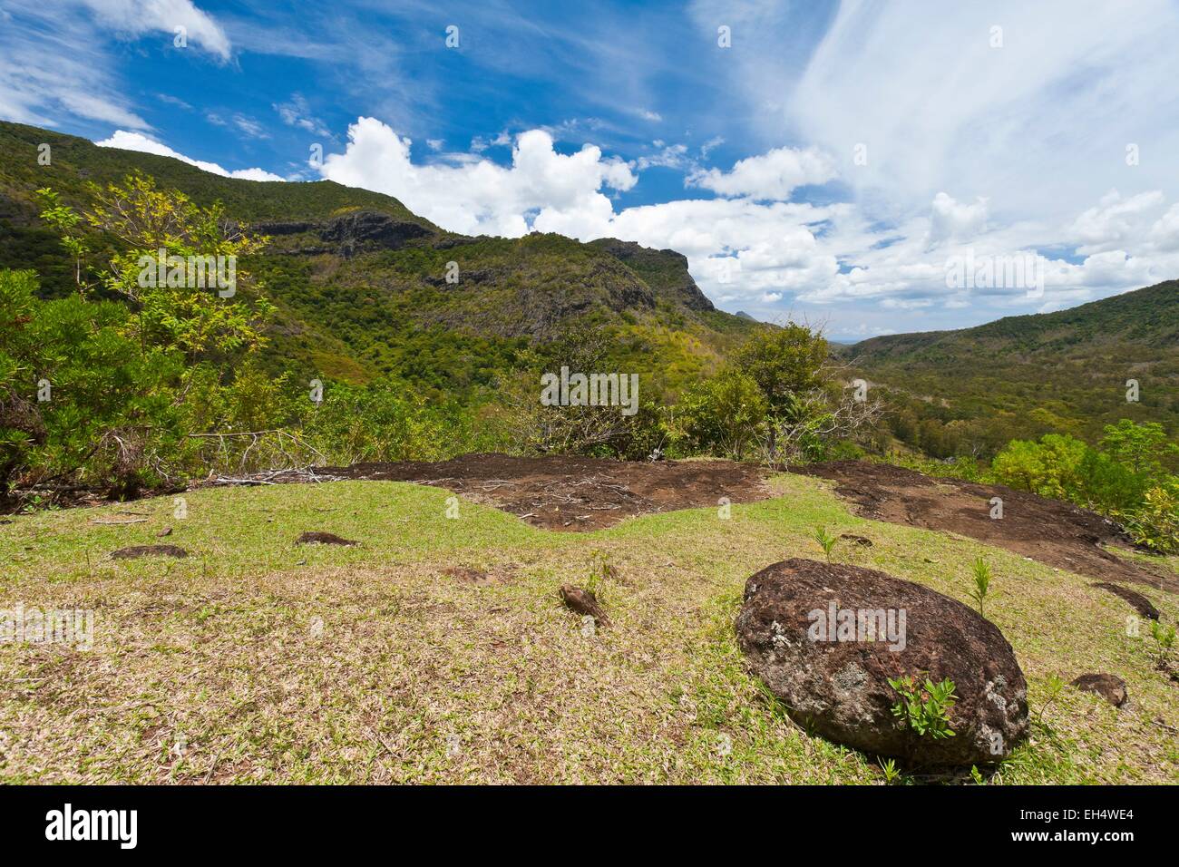 Maurizio Costa Sud Occidentale, Black River District, Gole del Parco Nazionale del fiume Nera Foto Stock