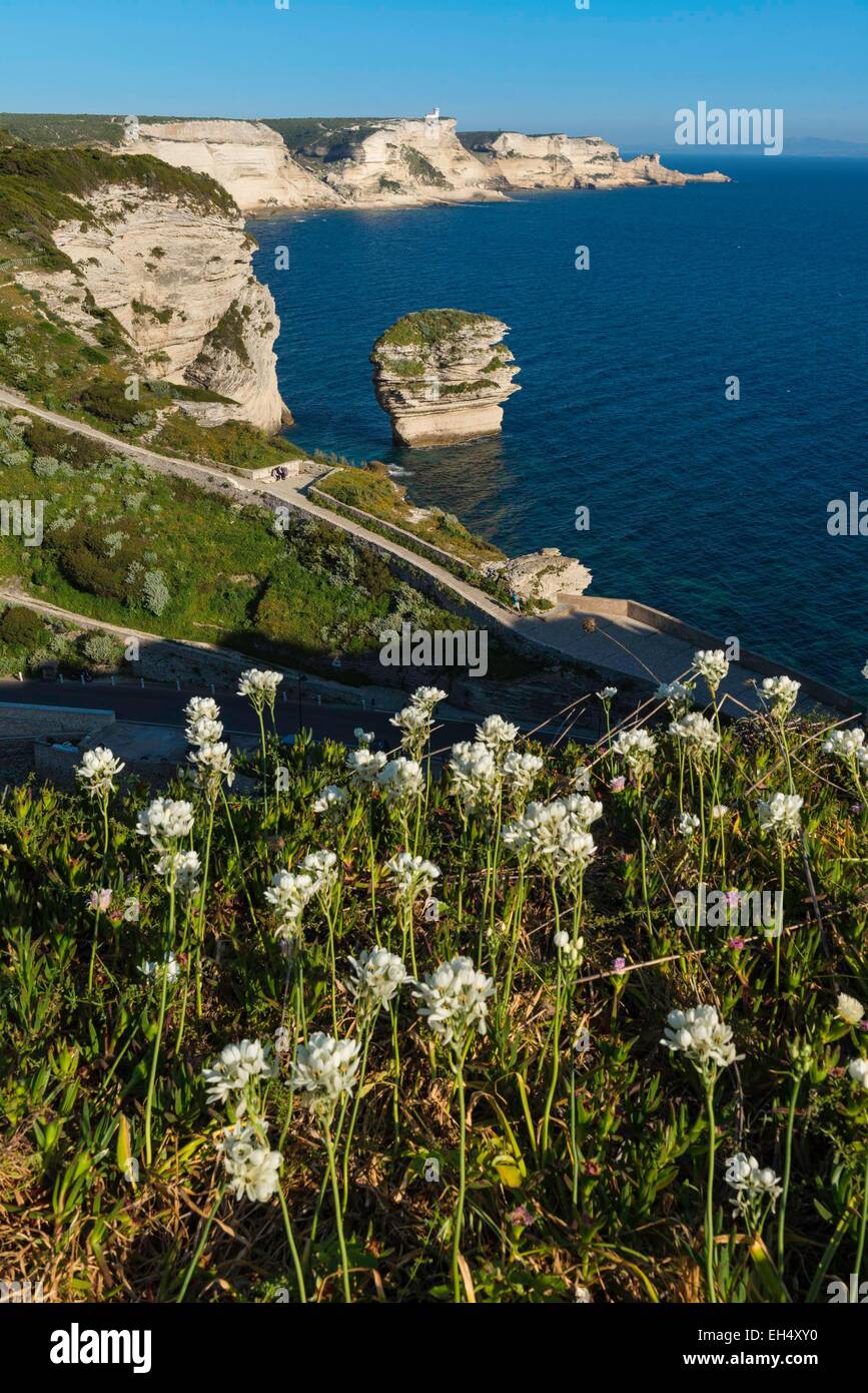 Francia, Corse du Sud, vista del grano di sabbia dalla cittadella Foto Stock