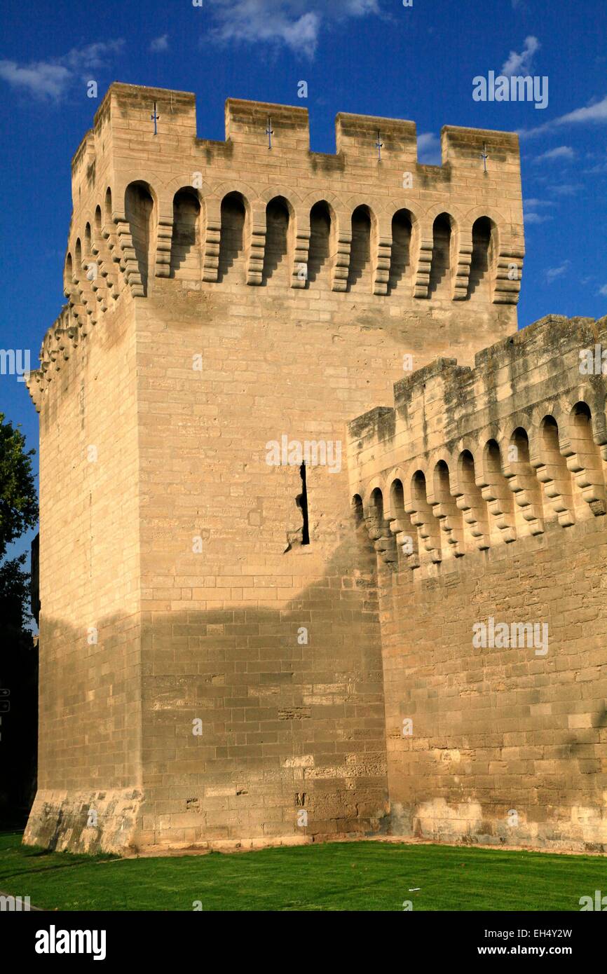 Francia, Vaucluse, Avignone centro storico sono classificati come patrimonio mondiale dall'UNESCO, la città papale mura, costruite tra il 1359 e il 1371 hanno fatto di questa città una vera roccaforte Foto Stock