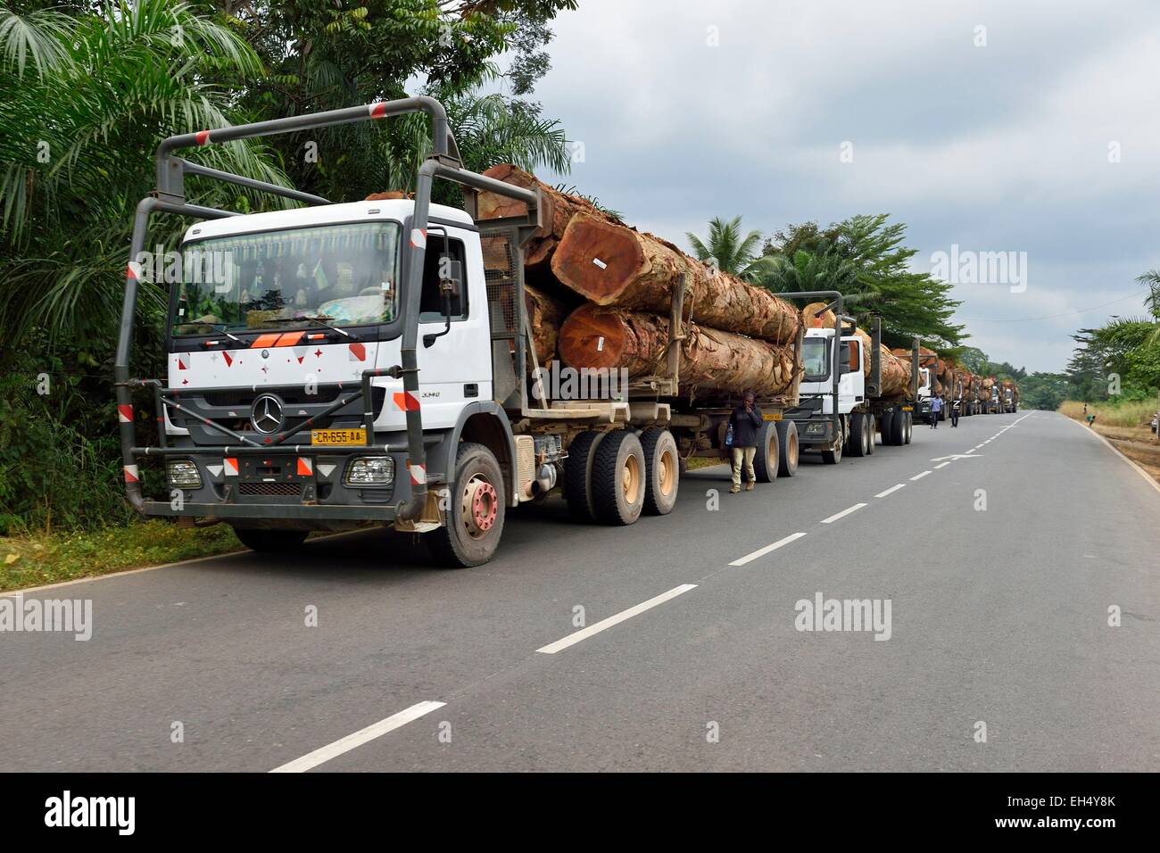 Il Gabon, Estuaire provincia, i camion che trasportano tronchi di alberi nella zona Ekouk sulla Strada Nazionale 1 (autostrada statale) Foto Stock