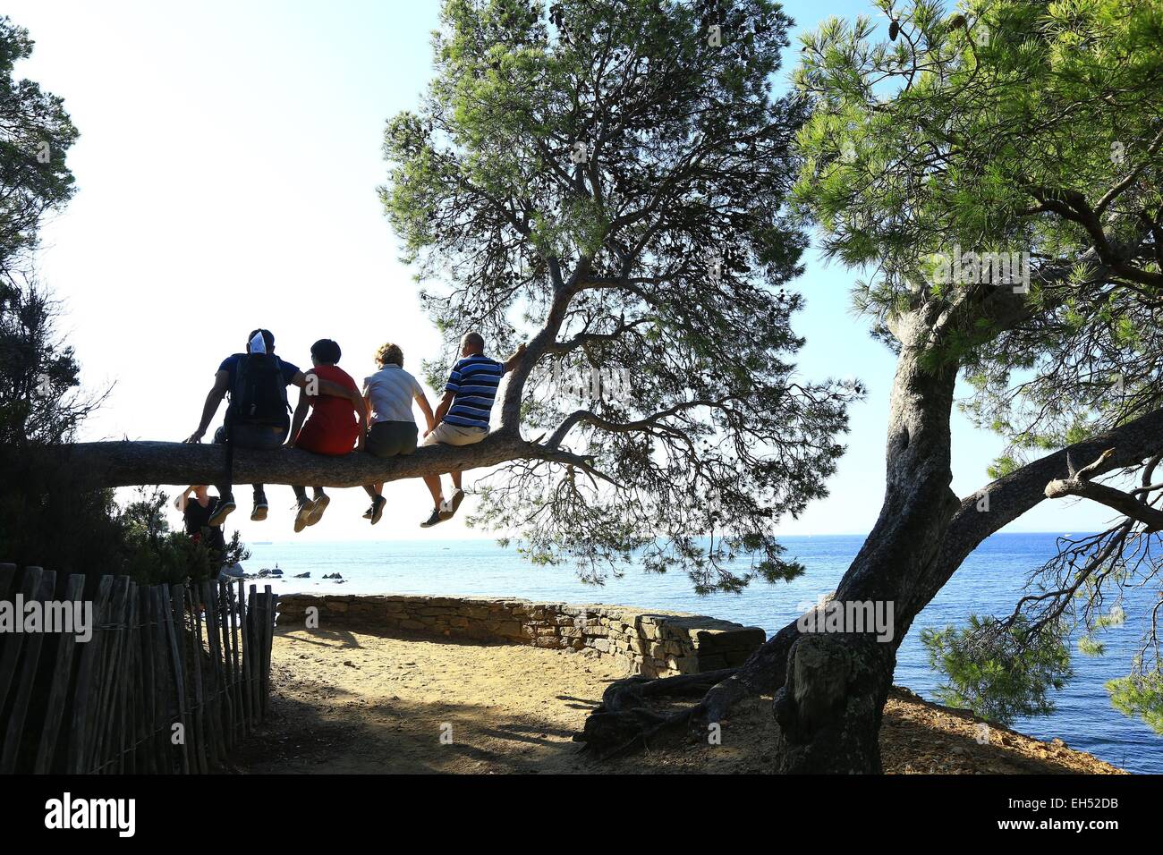 Francia, Var, La Londe les Maures, Pellegrin Beach, il percorso costiera Foto Stock