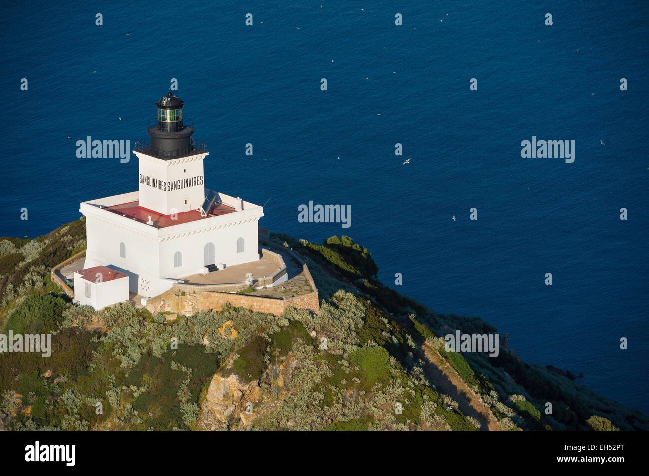 Francia, Corse du Sud del golfo di Ajaccio, Parata punto, Isole Sanguinarie, Mezzu mare, Isole Sanguinarie faro, area naturale protetta (vista aerea) Foto Stock