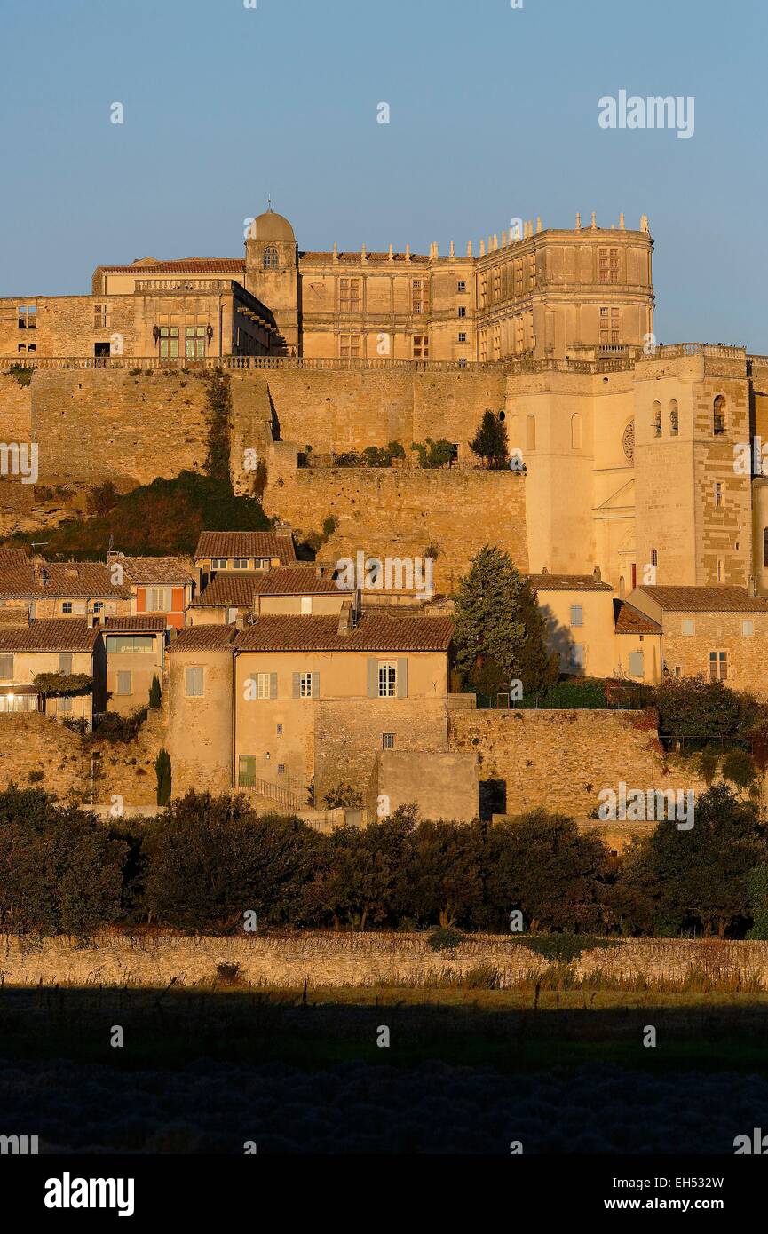 Francia, Drome, Grignan, il castello di Adhemar de Monteil o Grignan castello del XII secolo, era la residenza di Francois Adhemar de Monteil nel XVII secolo Foto Stock